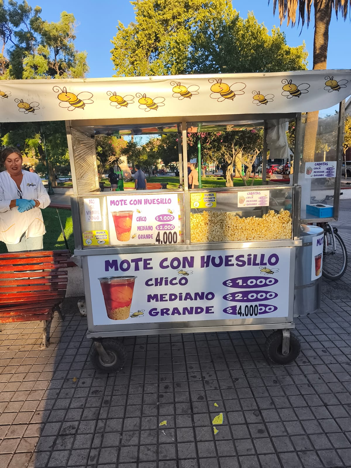 Mote con Huesillos