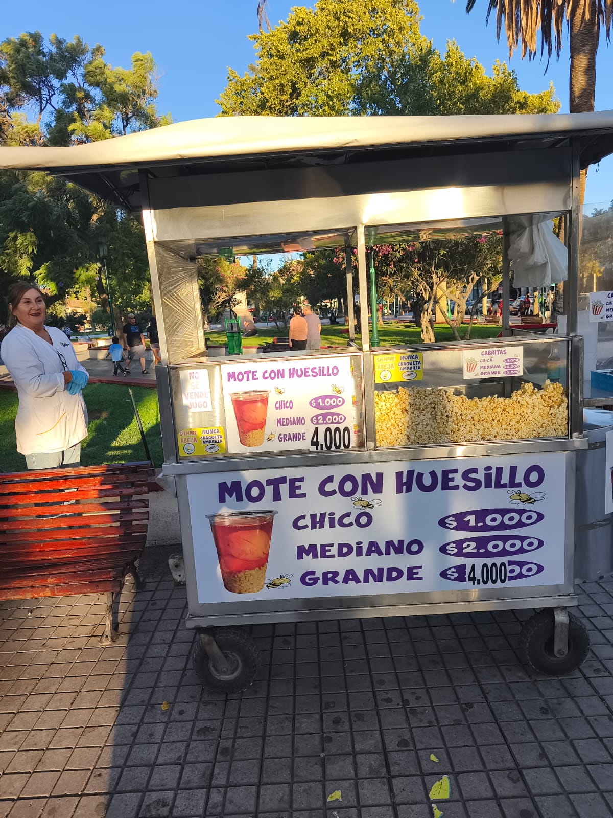 Mote con Huesillos
