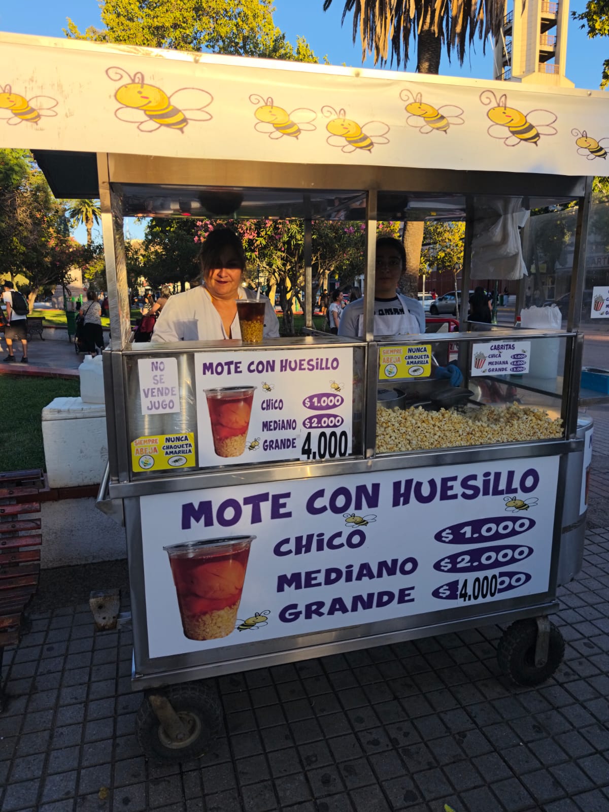 Mote con Huesillos