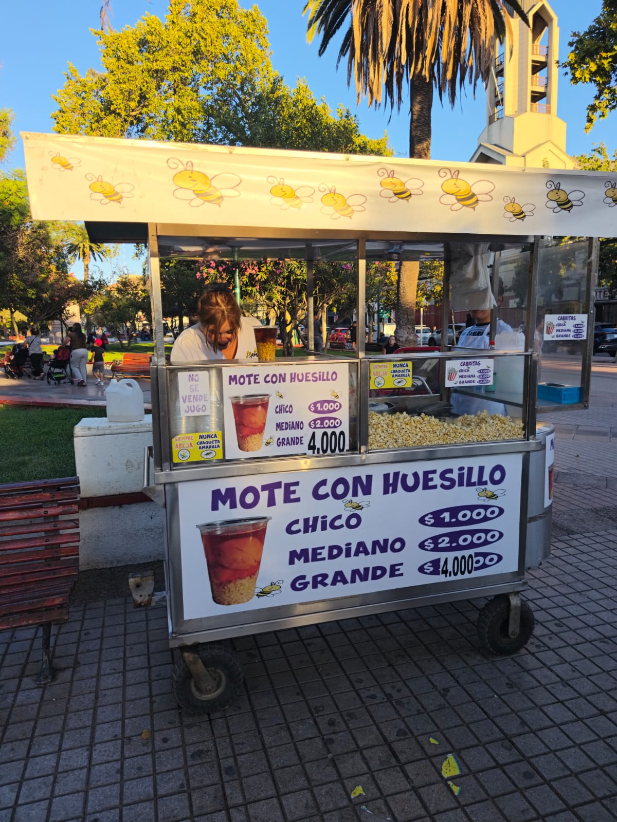 Mote con Huesillos